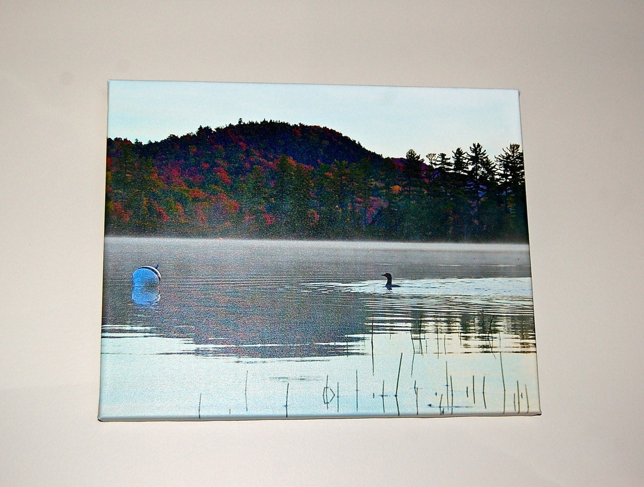 Autumn Morning on Big Moose Lake