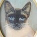 1960s original oil painting of a siamese cat // oval framed wall hanging