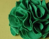 Irish Carnation Flower - Eco Friendly