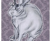 jackalope damask victorian postcard print 5 x 7