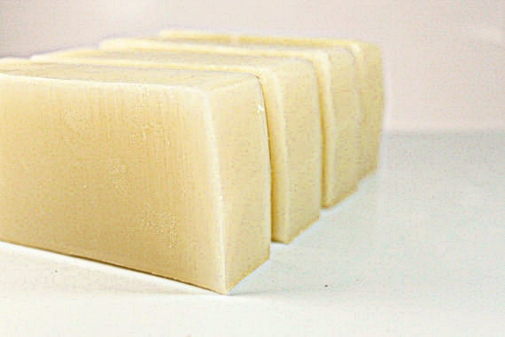 SHAMPOO - Apple Cider Vinegar and Aloe Solid Shampoo: all natural hair care