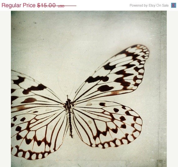 SALE 30% OFF Butterfly Print: le papillon 5x5 Fine Art Photography wall art decor Black and White Butterfly macro