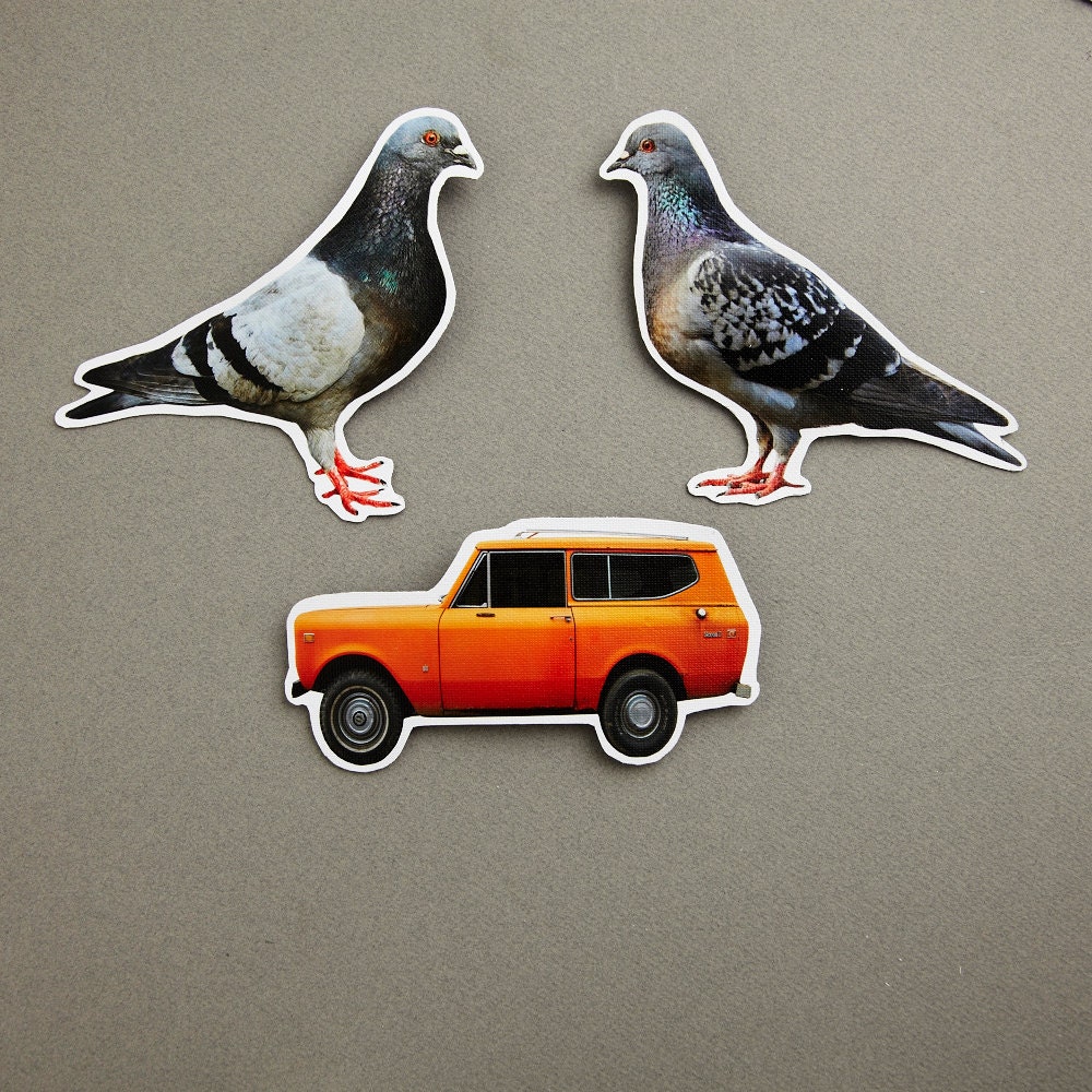 Pigeons and International Scout Set of 3 Magnets