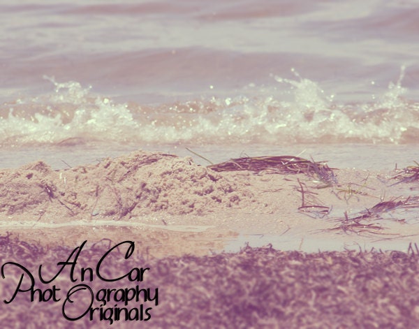 Seaweed on the Shore 11x14 Fine Art Beach Photography