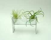 Terrarium, Small Table Top Air Plant Terrarium With Succulent Plant, Terrarium Supplies, Stained Glass, Geometric, Minimalist