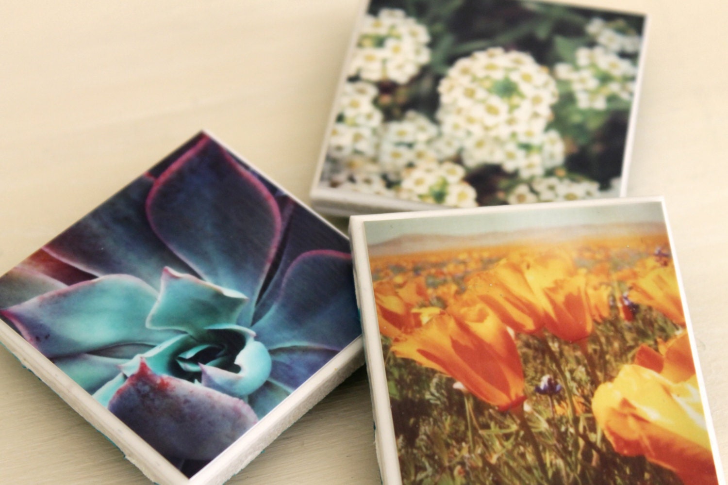 Flower Magnet Set