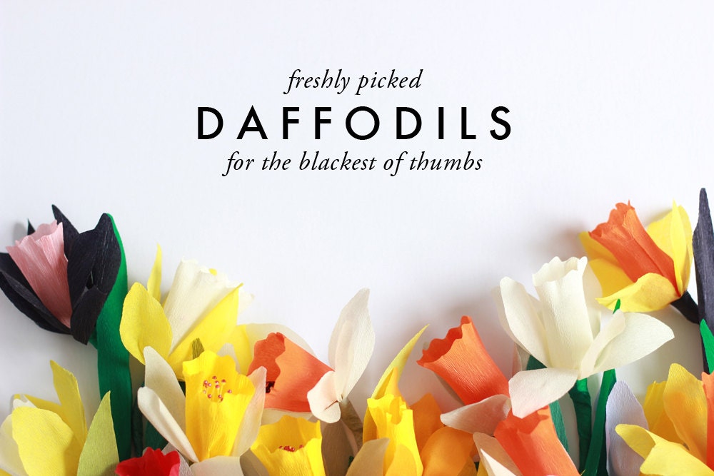 Paper daffodils bouquets (set of 5)
