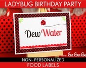 Ladybug Birthday Party - Food Labels & Bonus: Toothpick Flags NonPersonalized Printable // Ladybug - B35Nc