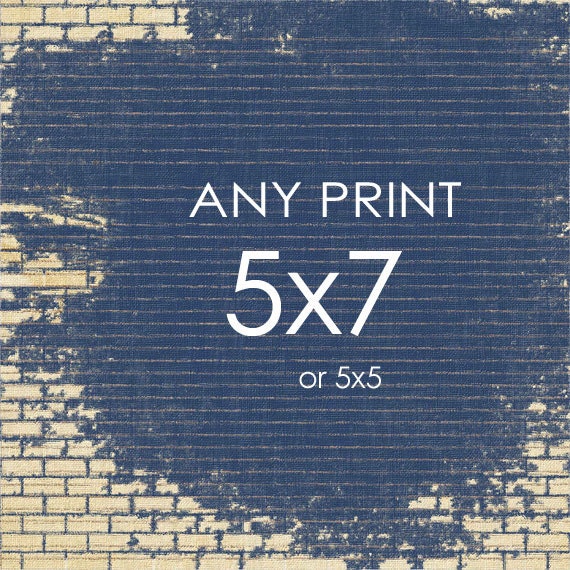 Photography - Wall Decor - Any 5x5 or 5x7 fine art photograph--your choice