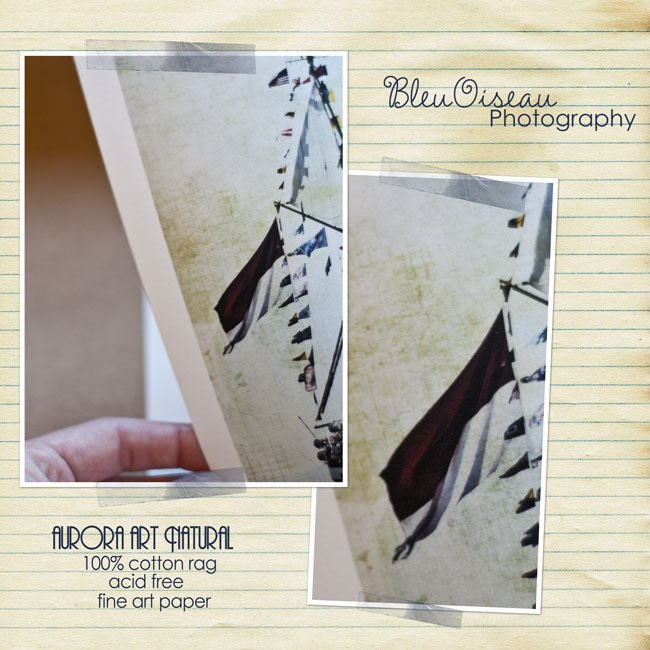 Oregon coast photo, sanderlings, birds in flight, beach photography, nature decor