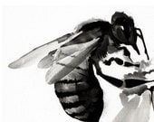 Honey Bee : Featured In West Elm - Charcoal Drawing - Nature Art, 8x10 Archival Print