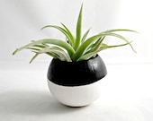 Mini Air Plant Colorblock Container Pod // Black & White Plant Vessel // Home and Garden