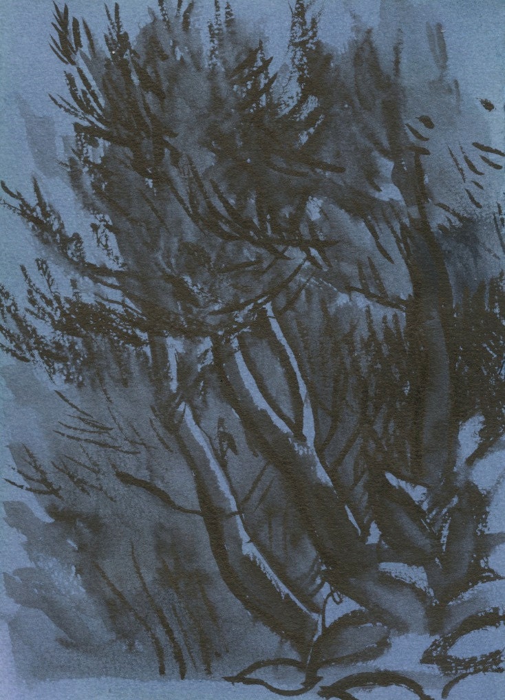Ink Wash: Our Neighbor's Pine Tree