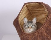 Cat Ball Modern Kitty Cave Bed in Wood Grain and Treasure Map