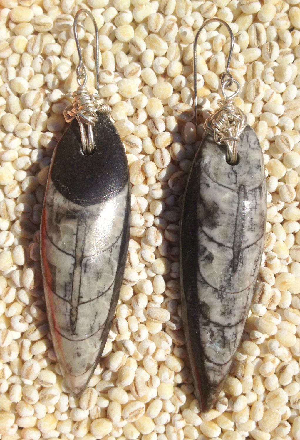 Orthoceras Fossil Sterling Silver Wire Wrapped Earrings