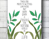 Jane Austen Quote - Nature Word Art Print - Typography Modern Illustration Print - Nature Home Decoration - Typographic Nature Art