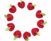 Crochet Apple Applique - Set of 10
