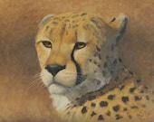 Cheetah oil painting