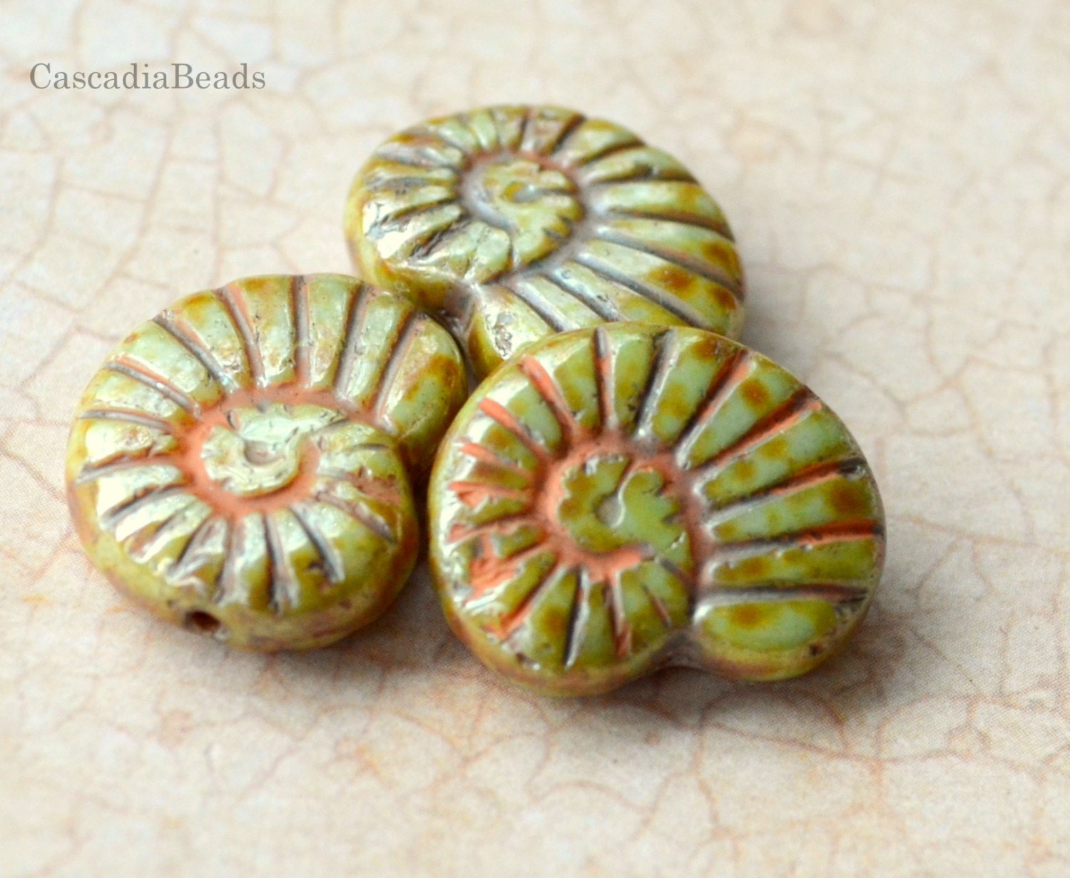 Czech Glass Bead - Nautilus Shell - Sage Green with Cinnamon Picasso - 4 - 16x14mm (cab-638)