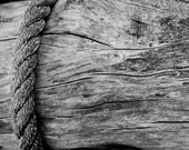 Black and White Driftwood Landscape III 8 x 10 Print