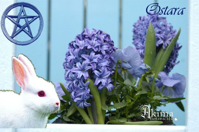 OSTARA - The Pagan Collection - Room and Body Spray, water based fragrance, 4 oz. floral spring scent