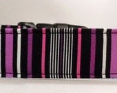 Dog  Collar - Dog, Martingale or Cat Collar - All Sizes - Amethyst