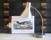 Chrome Gooseneck Lamp, Mid Century