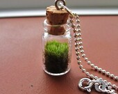 Terrarium Necklace,  Sterling Silver Ball Chain Choker