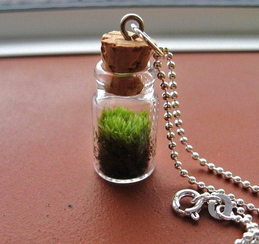 Terrarium Necklace,  Sterling Silver Ball Chain Choker