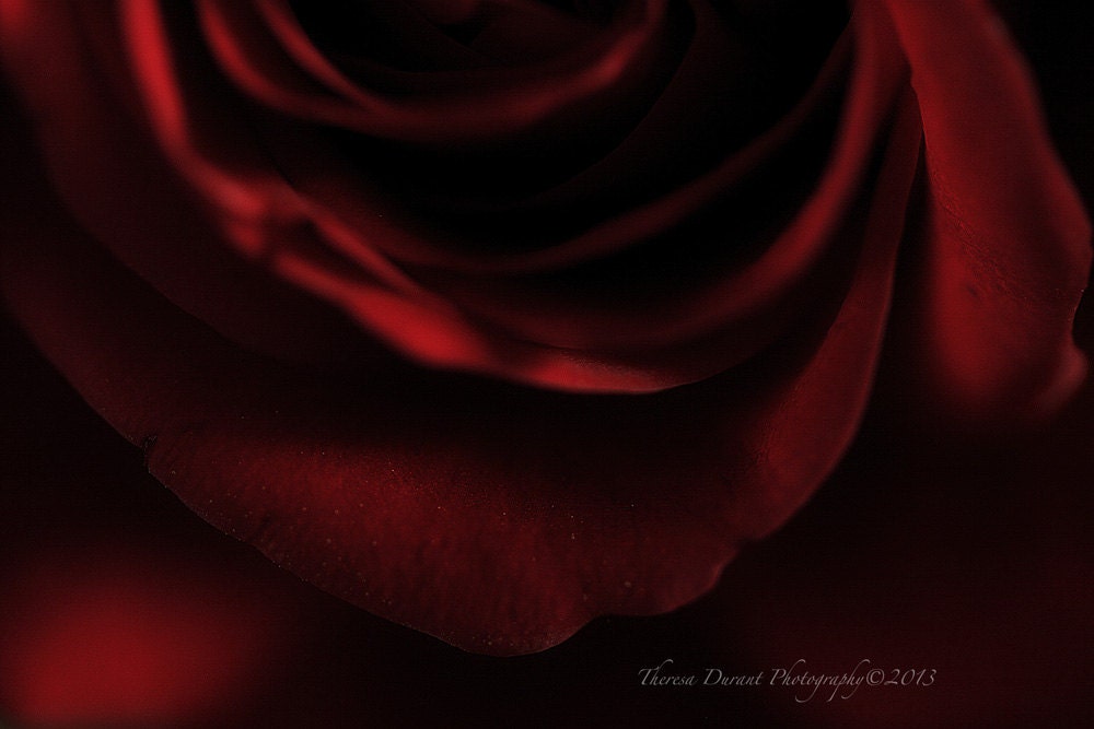 Ever remember thee- red rose-mothers day-mom-special red day- rose decor- love red-