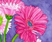 Gerberas on Indigo, original watercolor