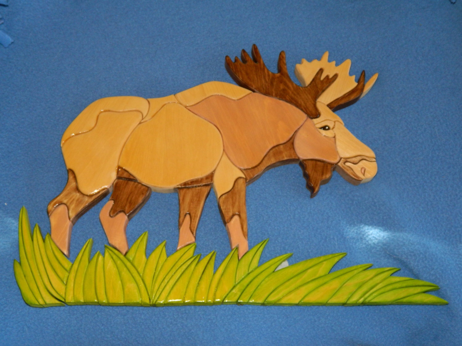 Moose