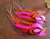 Bright Neon Feather Earrings Spring Fling Fashion Accessory Hot Pink Bright Orange and Grizzly Long Feather Earings - PrettyVagrant