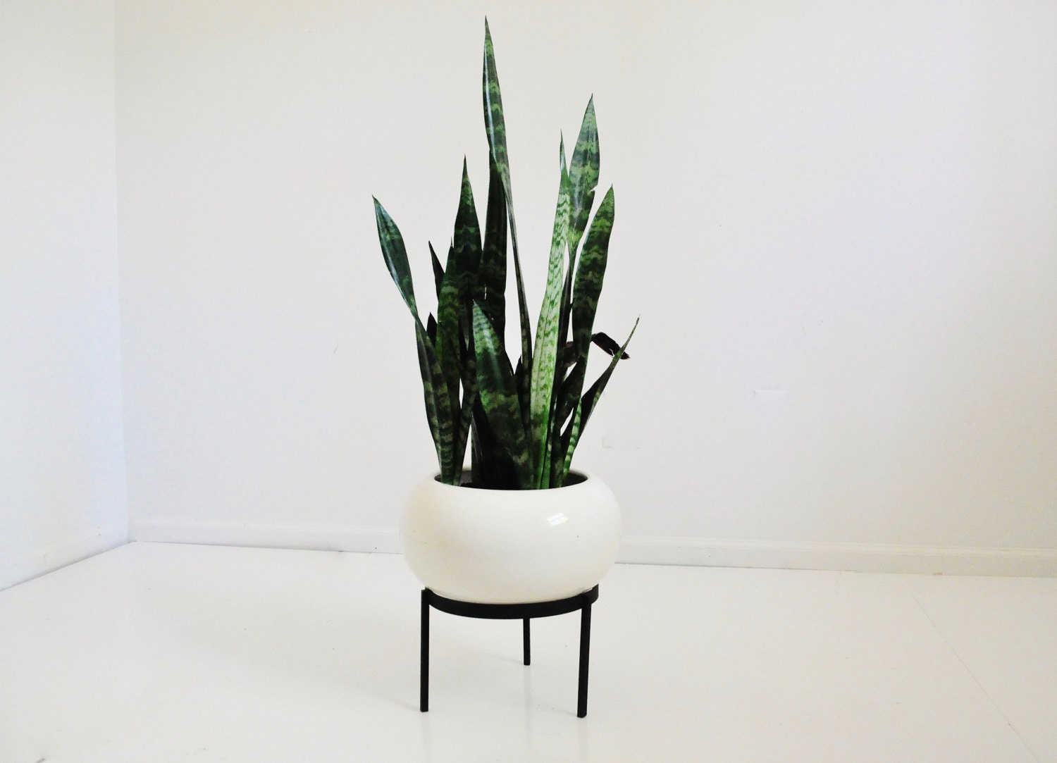 Mid-Century Ceramic Planter on Iron Stand