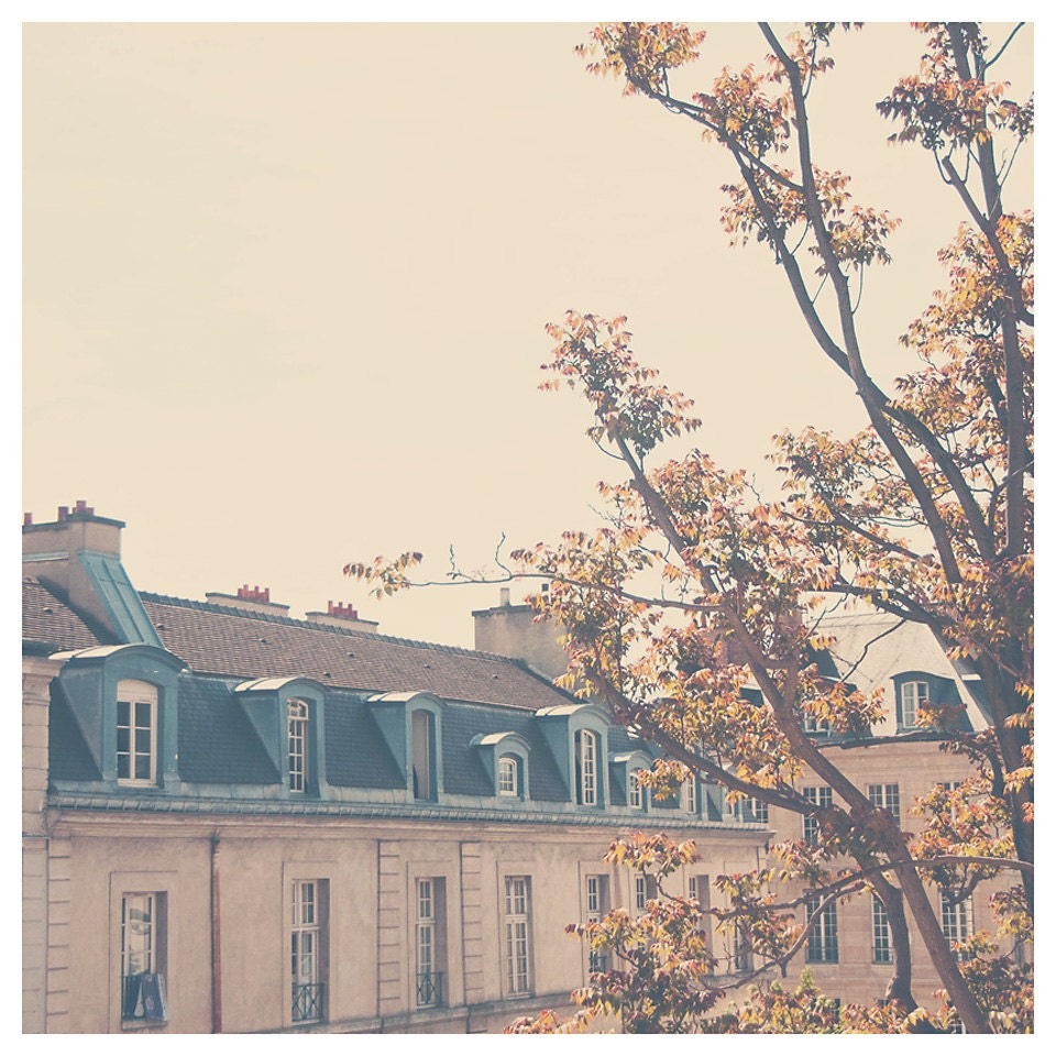 paris spring photo print - whimsical fine art architecture photography, golden, tree, buildings, street, yellow, cream - 12x12