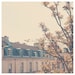 paris spring photo print - whimsical fine art architecture photography, golden, tree, buildings, street, yellow, cream - 12x12