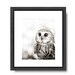 Cute Owl photo, black and white, woodland, animal, saw-whet owl, nature, wildlife, owl print, owl picture