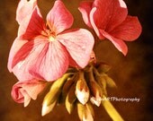 For You-01 Flower 8"x8" Fine Art Wall Decor Photograph For Modern Cafe Bar Pub Hotel Restaurant Nursey Home Office
