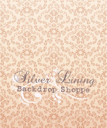 SALE 2fer set 5'x5' PACKAGE DEAL Vinyl Backdrops Light Washed Wood Floor and Carolina Damask