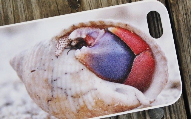 Beach iPhone 5 Case, Seashell, Hermit Crab, Summer iPhone Cover, Crab iPhone Case, Shell iPhone Photography