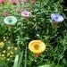 Glass GARDEN STAKE, Dragonfly, BUTTERFLY Feeder, Bird Feeder, smoky violet, stained glass, copper