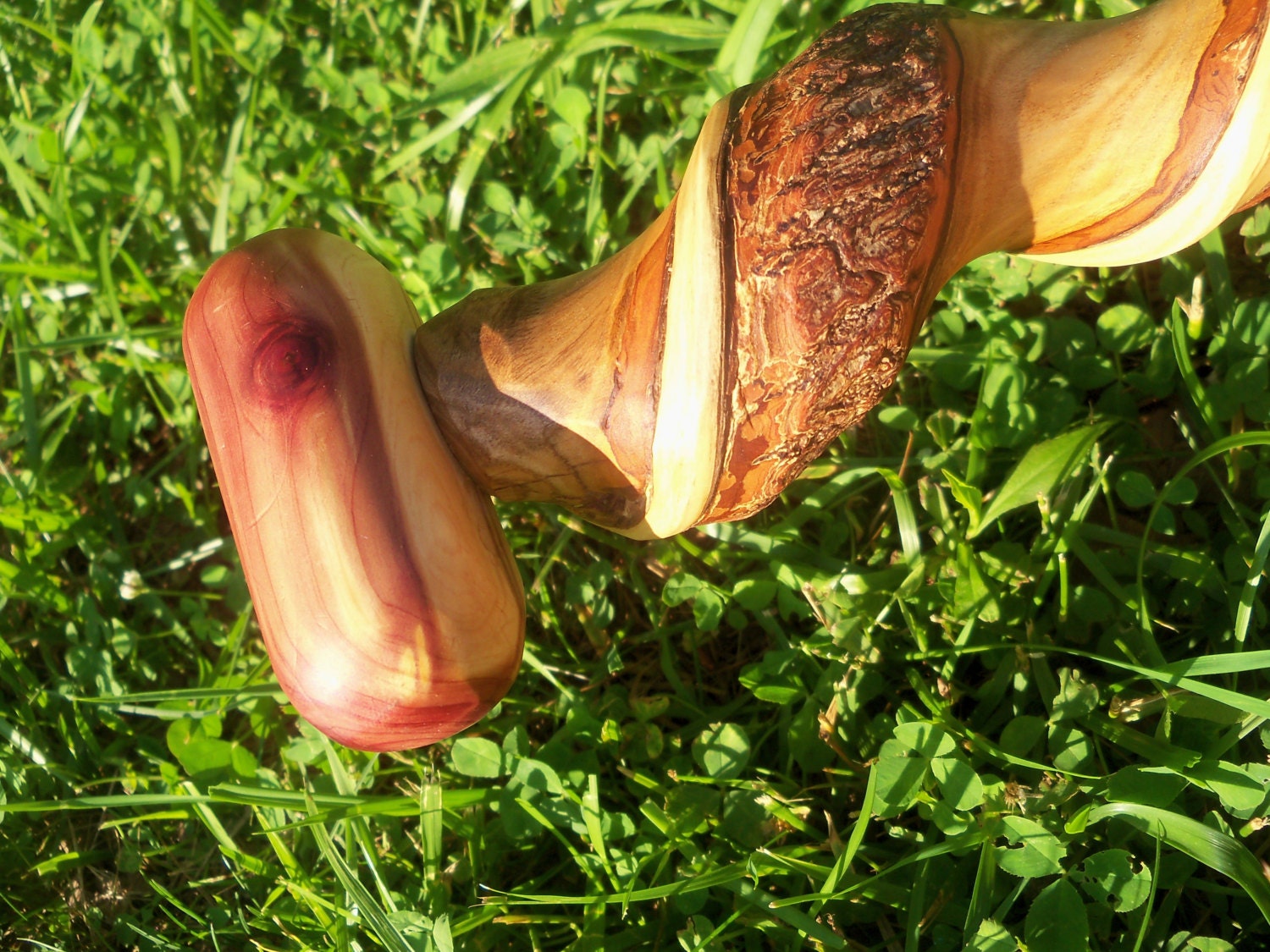 Hiking Cane Walking Cane Fathers Day Hand Carved Sassafras Wood Organic Cane