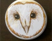 Barn Owl face 1-1/2" button pin Nature Bird Wildlife - Brandy Woods
