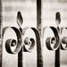 Black and White Photography - gate fence architectural wrought iron vintage brown modern print - 11x14, 8x12 Photograph, "History Among Us"