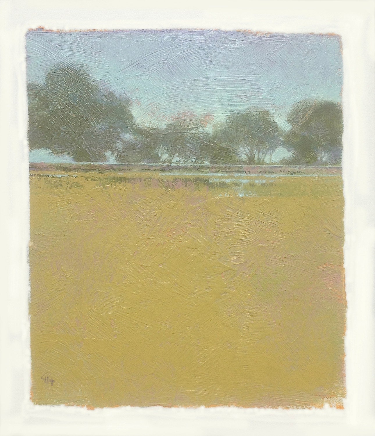 Summer Saw Grass