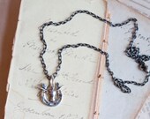 Cowboy or Cowgirl Necklace - Silvery Horseshoe and Bulls Head Pendant on Dark Chain