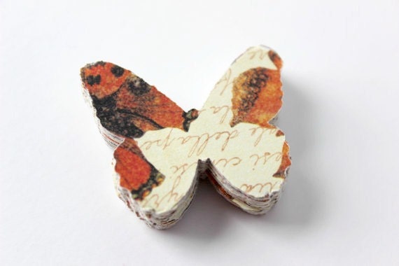 Nature Monarch Butterfly Die Cuts - Natural History