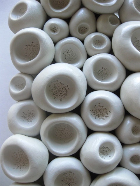 NEW Water Lily Pod Tile
