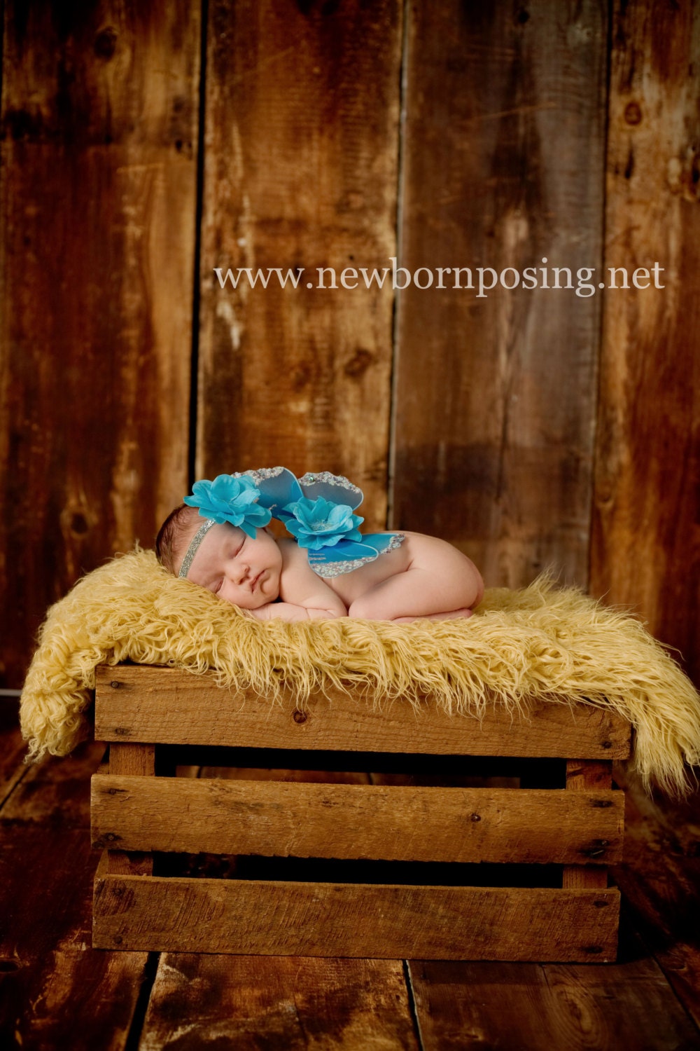 Sweet Turquoise and Silver Shimmer Fairy Wings