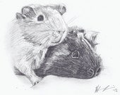 Sketch From Your Photo - Custom Portrait - Two Portraits or Pets
